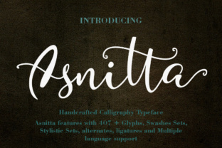 Asnitta Font Review: A Designer’s Take on Script Amp’s Latest Release