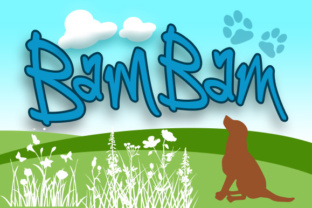 BamBam: A Playful Handwritten Font for Bold Small Business Branding