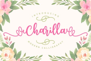 Charilla Typeface Review: A Modern Calligraphy Script for Brand Identity