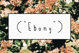 Ebony: The Handwritten Typeface for Charming Craft Designs