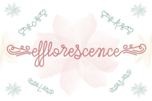 Efflorescence Typeface Review for Digital Branding