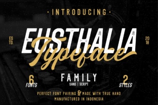 Eusthalia Family Review: A Designer’s Take on Real-World Script Use