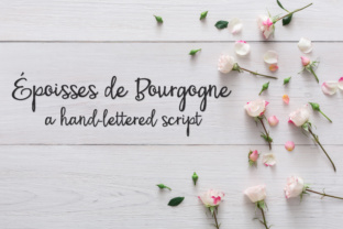 PN Époisses De Bourgogne: The Playful Script Font for Handmade Branding
