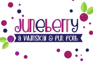 PN Juneberry: The Whimsical Typeface for Polished Brand Visuals