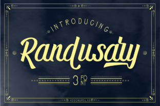 Randusary Review: A Designer’s Take on This Script Amp
