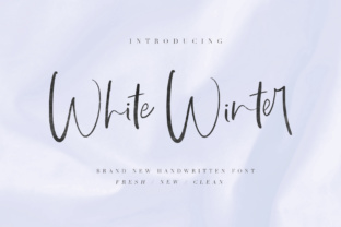White WInter: A Creative Font Review for Polished Brand Identity